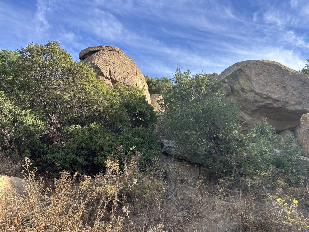 chatsworth_3 - Citrus & Sprawl