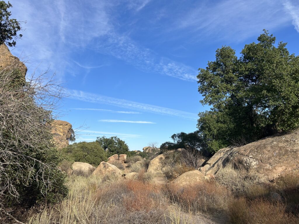 chatsworth_4 - Citrus & Sprawl